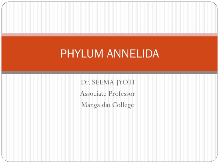 Annelida: Characteristics and Classification