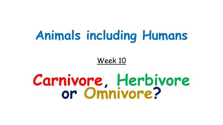 Animals Week 10: Carnivore, Herbivore, or Omnivore?