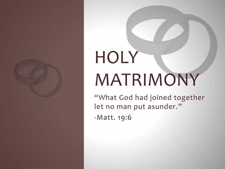 The Significance of Holy Matrimony in God's Plan