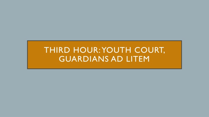 Youth Court and Guardians Ad Litem in Legal Proceedings