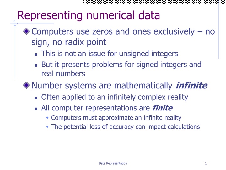 Computer Data Representation Challenges and Solutions