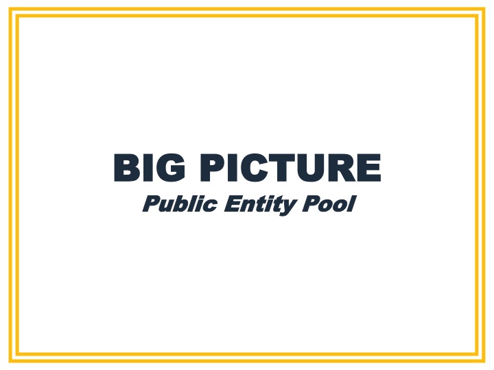 Core Purpose and Services of Public Entity Risk Management