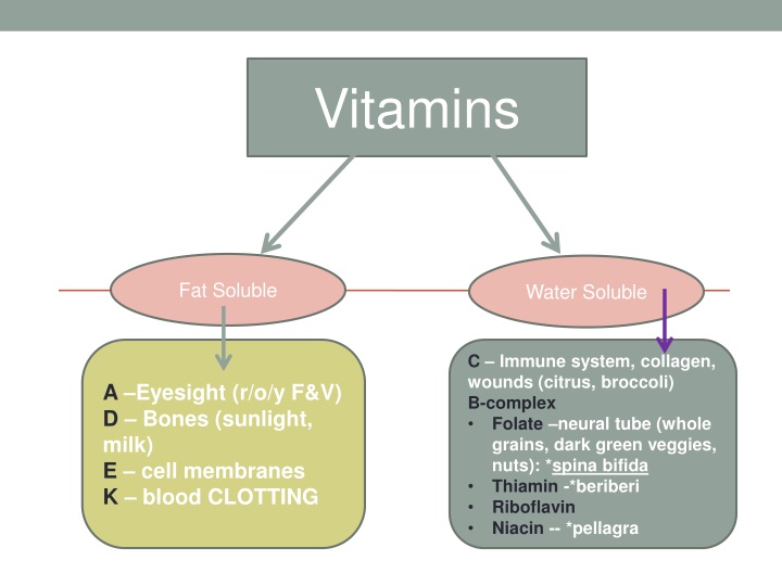 Essential Nutrients for Health and Wellness
