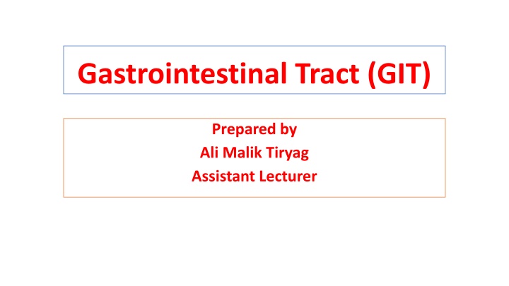 Gastrointestinal Tract (GIT)