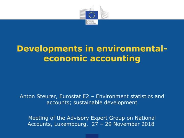 Developments in Environmental-Economic Accounting