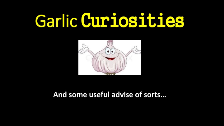 Fascinating Garlic - Origins, Historical Insights, and Growing Tips