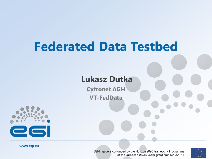 Federated Data Testbed