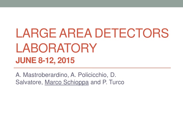 Large Area Detectors Laboratory - June 8-12, 2015