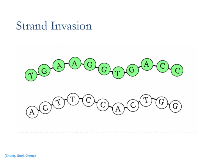 Strand Invasion by Cheng and Goel