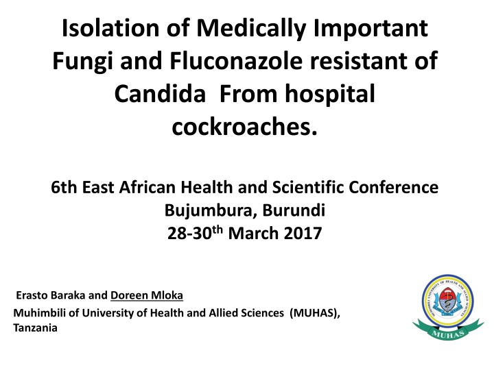 Isolation of Fungi from Hospital Cockroaches: Emerging Healthcare Concerns