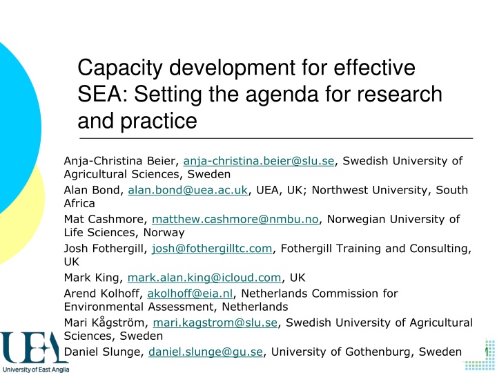Capacity Development for Effective SEA: Setting the Agenda