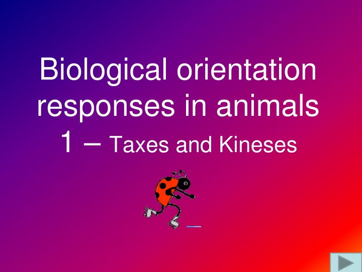 Biological Orientation Responses in Animals - Taxes and Kineses