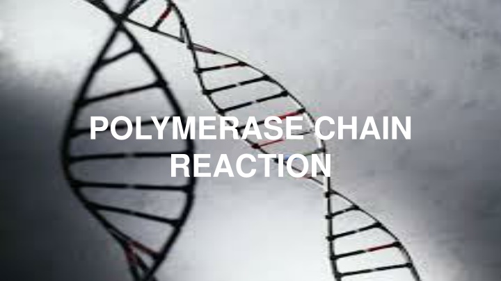 Polymerase Chain Reaction (PCR) Overview