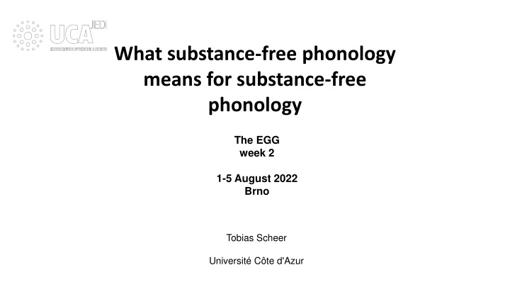 Impacts of Son on Place & Lar in Phonology