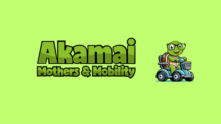 Convenient Transport Chair Rentals Kona for Easy Mobility Solutions