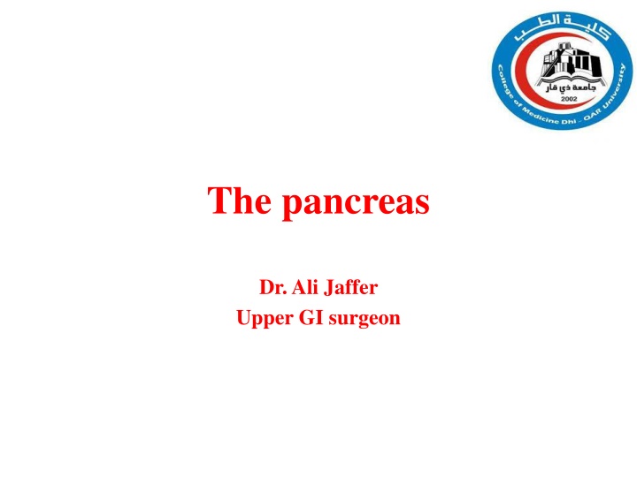 the Pancreas Anatomy and Investigations