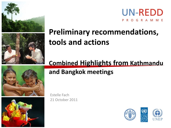 Preliminary Recommendations and Actions in Addressing Risks in Carbon Rights and REDD+ Safeguards