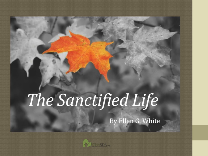 The Sanctified Life: Christian Character Insights
