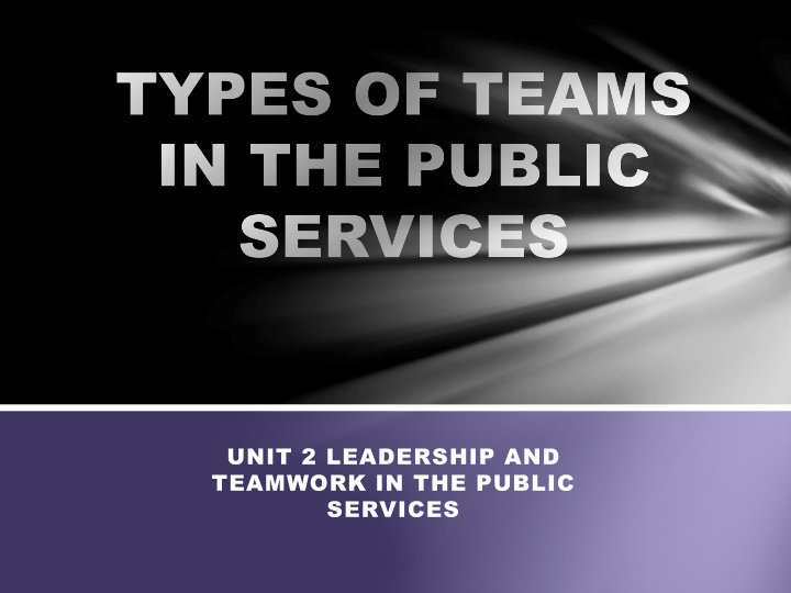 Types of Teams in Public Services