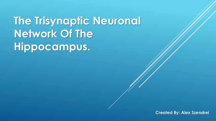 The Trisynaptic Neuronal Network of the Hippocampus