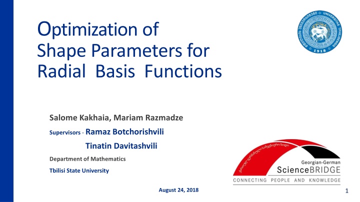 Optimization of Shape Parameters for Radial Basis Functions