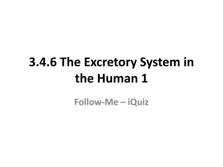 The Excretory System in Human Biology
