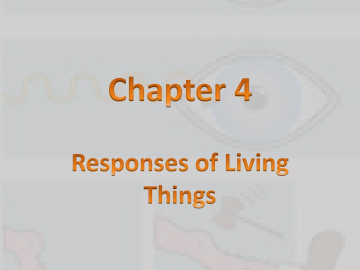 Responses of Living Things: Environment, Stimuli, and Reactions
