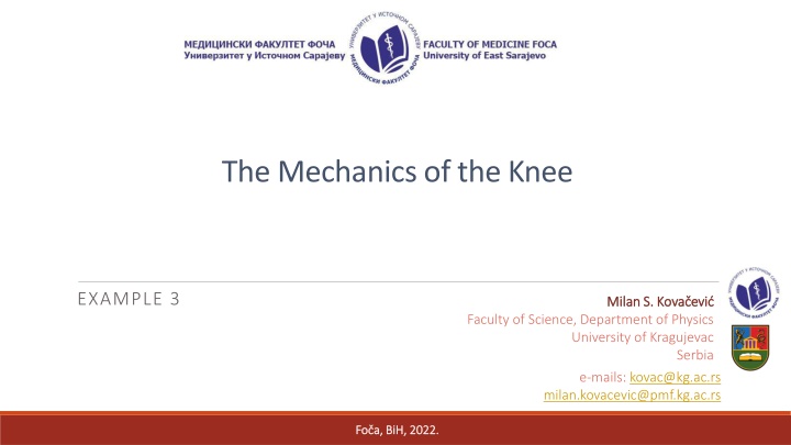 The Mechanics of the Knee