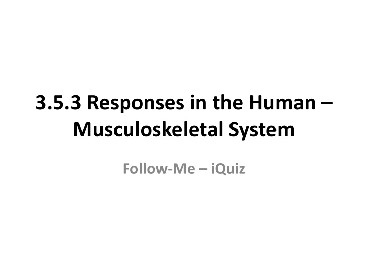 Responses in the Human Musculoskeletal System