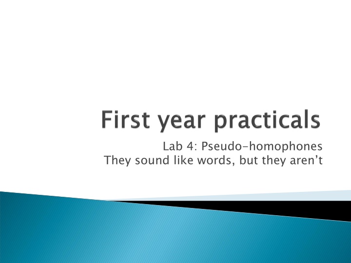 Pseudo-homophones: The Phonetic Illusion