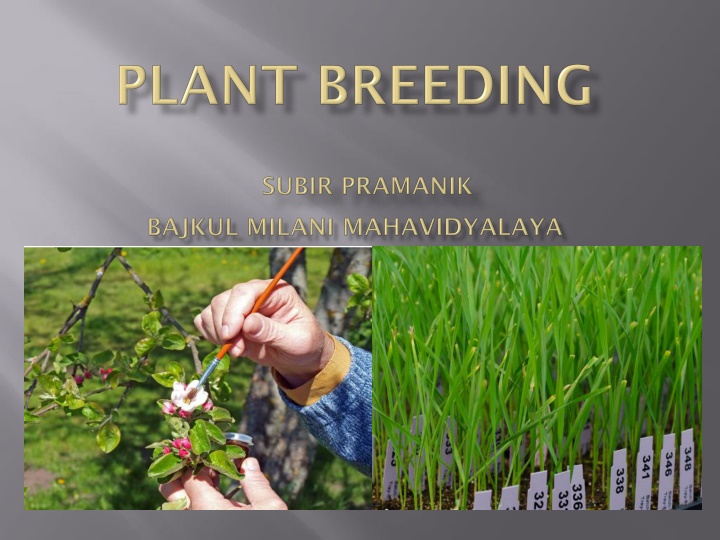 Enhancing Plant Genetics for Mankind's Benefit