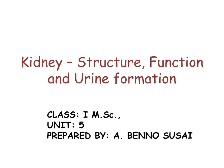Kidney Structure, Function and Nephron Physiology