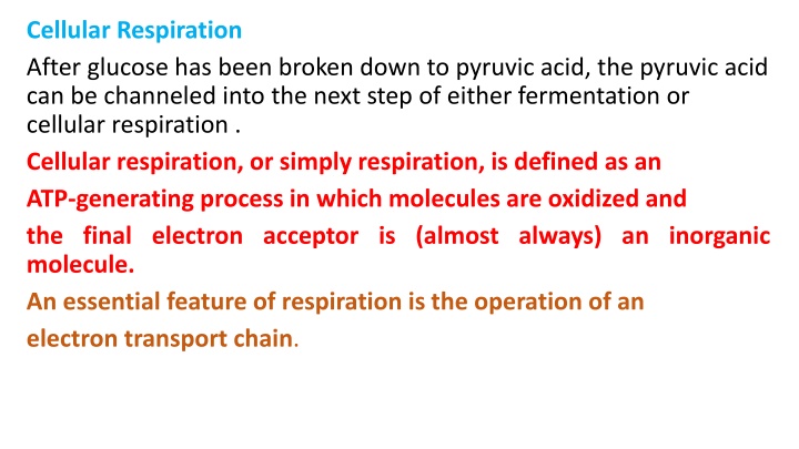 Cellular Respiration: Pyruvic Acid Pathway Options