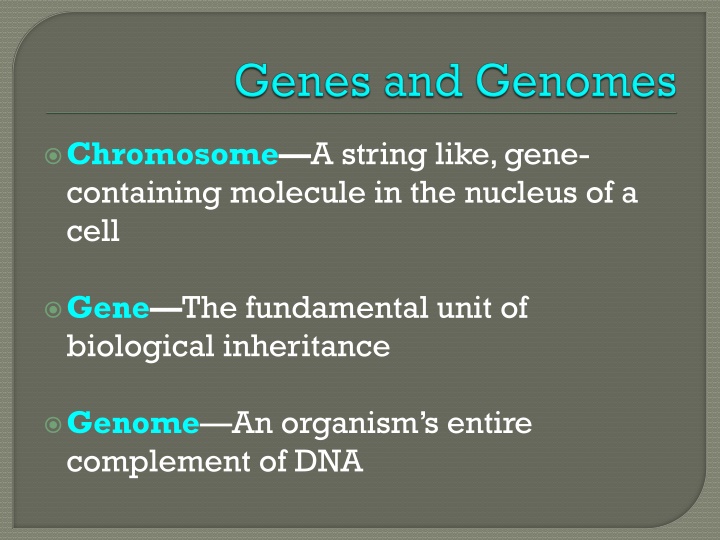 The World of Genetics: Understanding Chromosomes, Genes, and Manipulation
