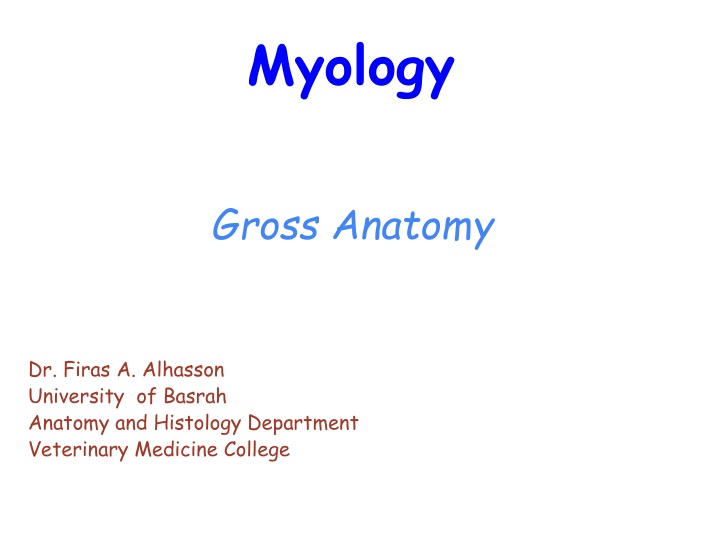 Exploring Myology: Understanding Muscle Functions and Structure