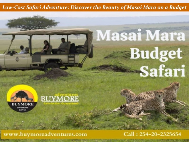 Low-Cost Safari Adventure: Discover the Beauty of Masai Mara on a Budget