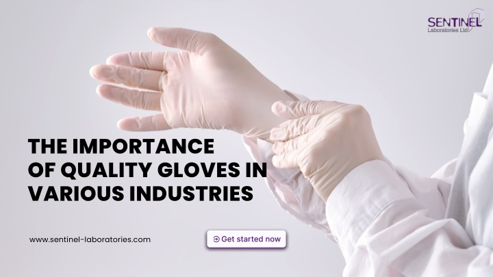 Why Quality Gloves Matter in Every Sector?