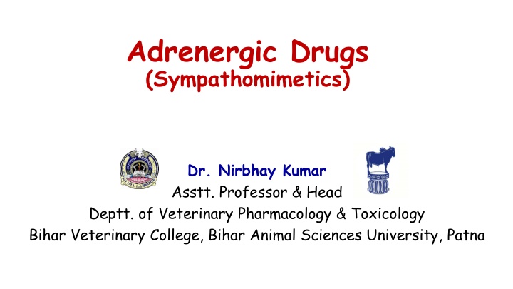 Adrenergic Drugs: Effects and Classification