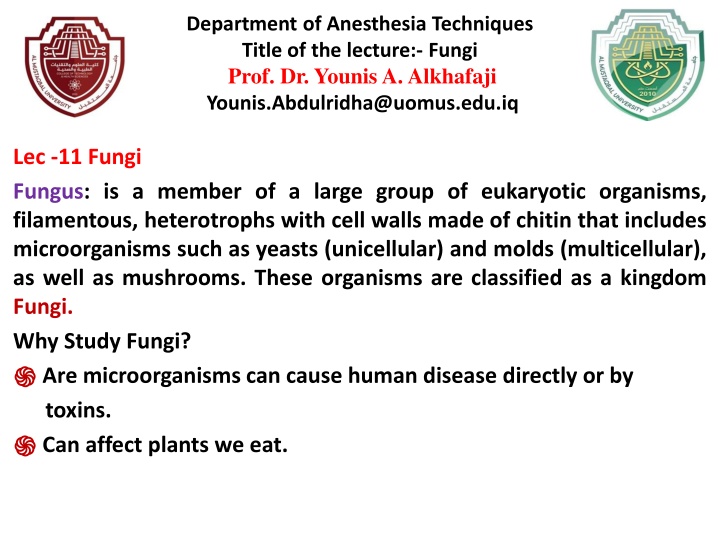 Overview of Fungi Ecology and Importance