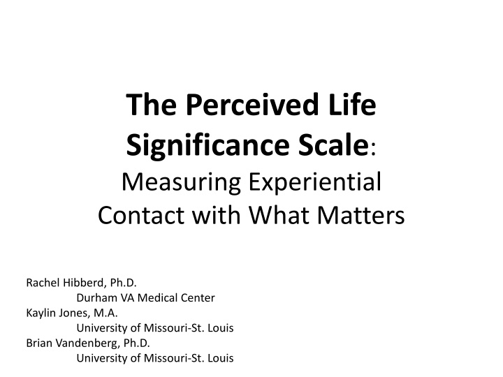 Measuring Life Significance and Well-being