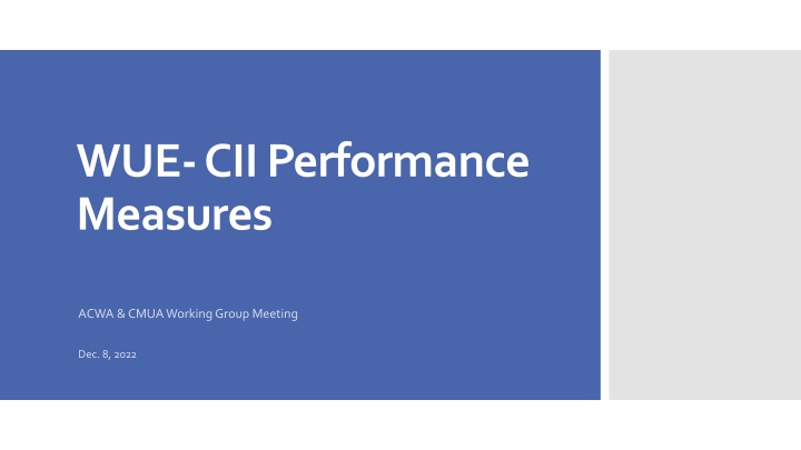 WUE-CII Performance Measures