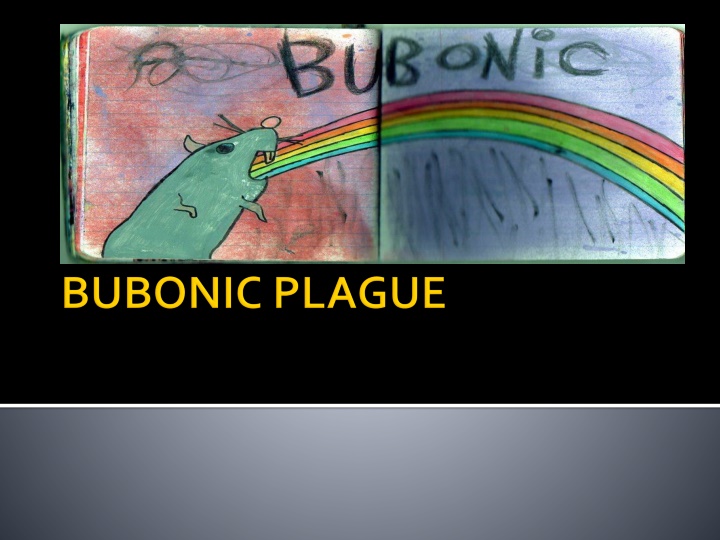 Exploring the History of Bubonic Plague Through Images