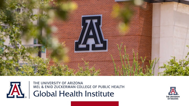 Global Health Institute Scholars Program