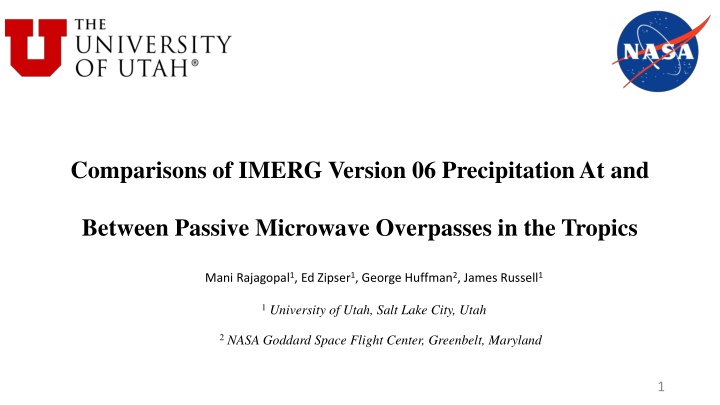 Comparisons of IMERG Version 06 Precipitation in the Tropics