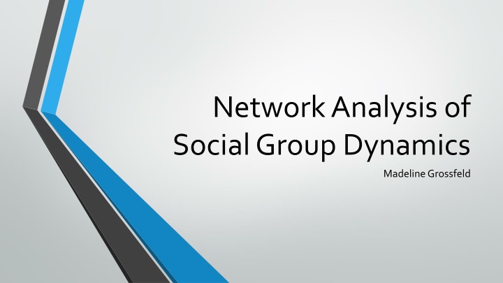 Network Analysis of  Social Group Dynamics