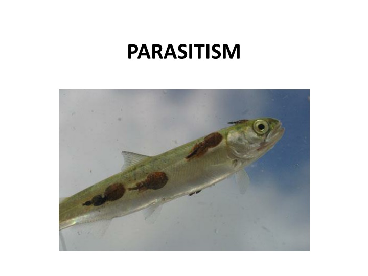 Parasitism in Nature