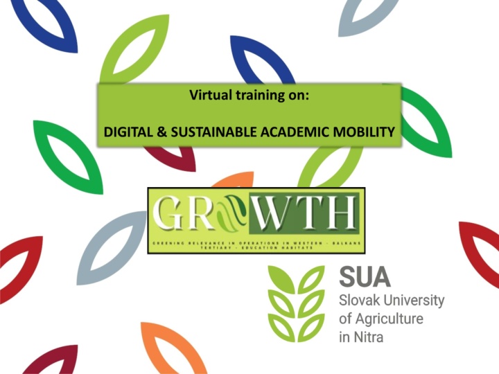 Digital & Sustainable Academic Mobility: Virtual Mobility Definitions