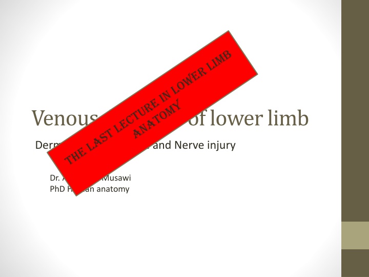 Venous Drainage & Nerve Injury in Lower Limb