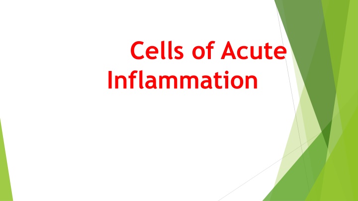 Cells of Acute Inflammation