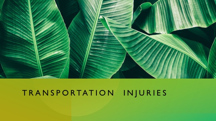 Transportation Injuries and Medico-Legal Investigation